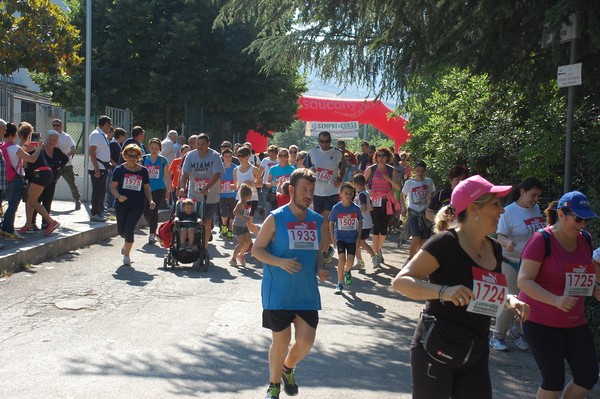 Maratonina di Villa Adriana (31/05/2015) 00066