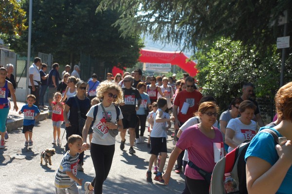 Maratonina di Villa Adriana (31/05/2015) 00074