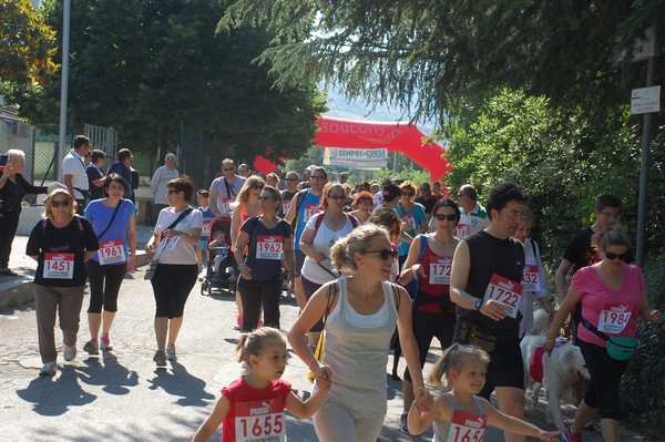 Maratonina di Villa Adriana (31/05/2015) 00076