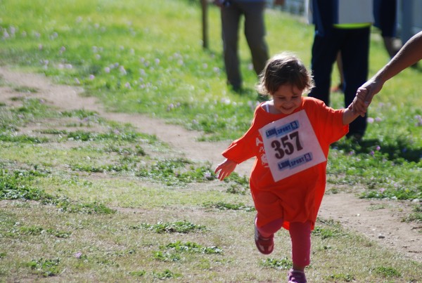 Trofeo Arancini Podistica Solidarietà (27/09/2015) 00049