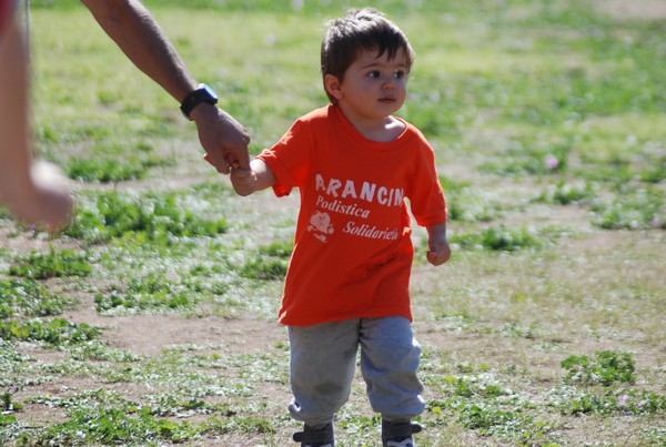 Trofeo Arancini Podistica Solidarietà (27/09/2015) 00050