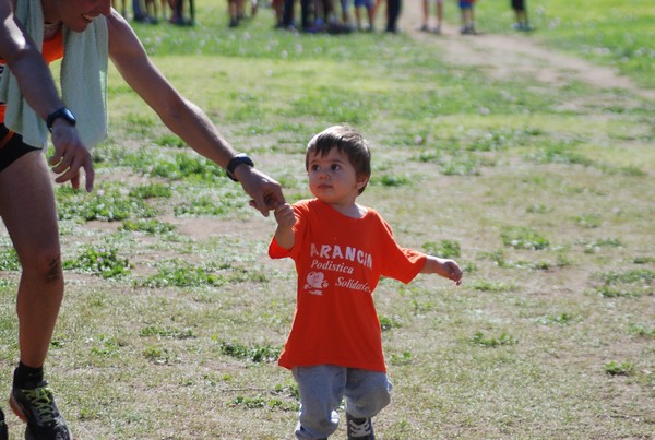 Trofeo Arancini Podistica Solidarietà (27/09/2015) 00052