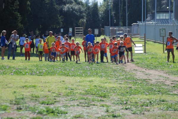 Trofeo Arancini Podistica Solidarietà (27/09/2015) 00053