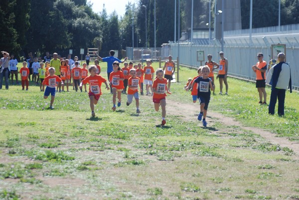 Trofeo Arancini Podistica Solidarietà (27/09/2015) 00057