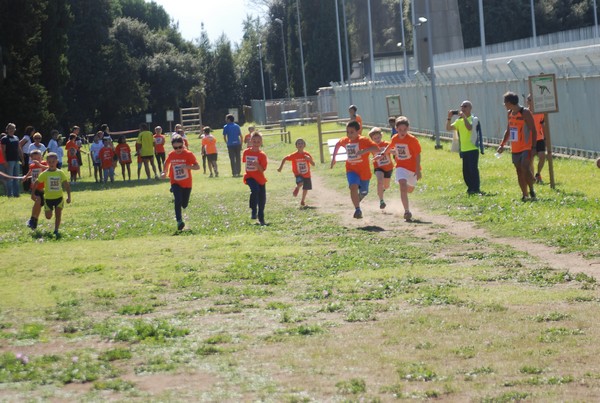 Trofeo Arancini Podistica Solidarietà (27/09/2015) 00068