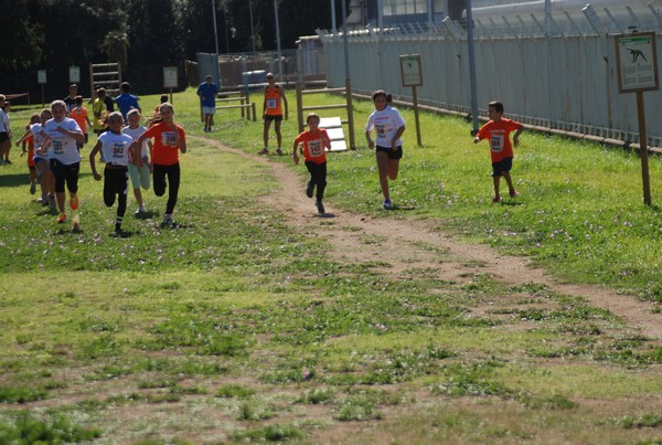 Trofeo Arancini Podistica Solidarietà (27/09/2015) 00081