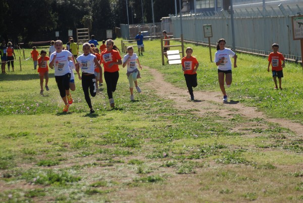 Trofeo Arancini Podistica Solidarietà (27/09/2015) 00083
