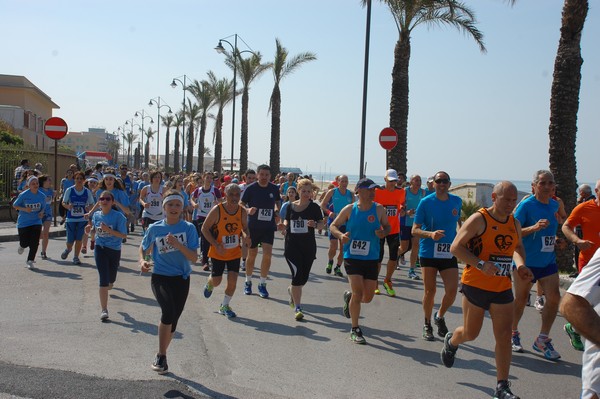 Mondragone in corsa (25/04/2015) 00002