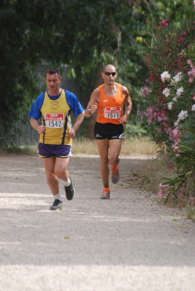 Solstizio d'estate ( C.E.)  (14/06/2015) 00009