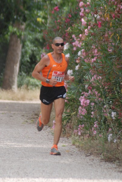 Solstizio d'estate ( C.E.)  (14/06/2015) 00012