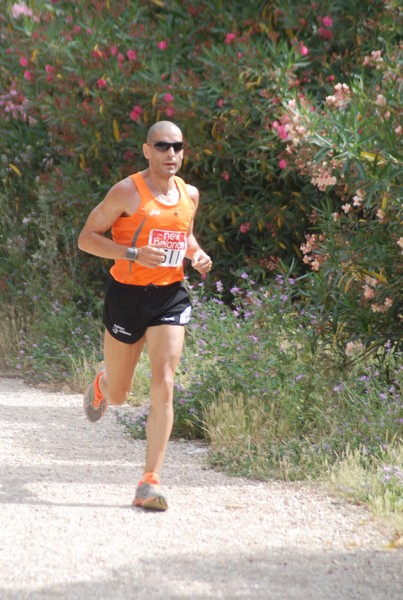 Solstizio d'estate ( C.E.)  (14/06/2015) 00017