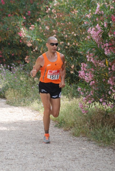 Solstizio d'estate ( C.E.)  (14/06/2015) 00019