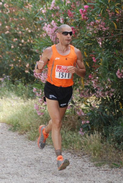 Solstizio d'estate ( C.E.)  (14/06/2015) 00020