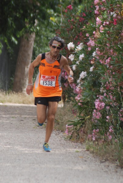 Solstizio d'estate ( C.E.)  (14/06/2015) 00023