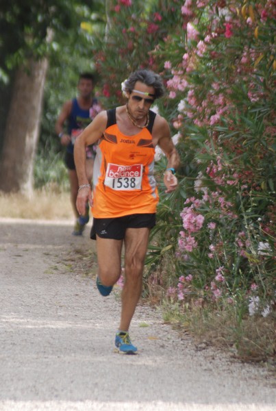 Solstizio d'estate ( C.E.)  (14/06/2015) 00024