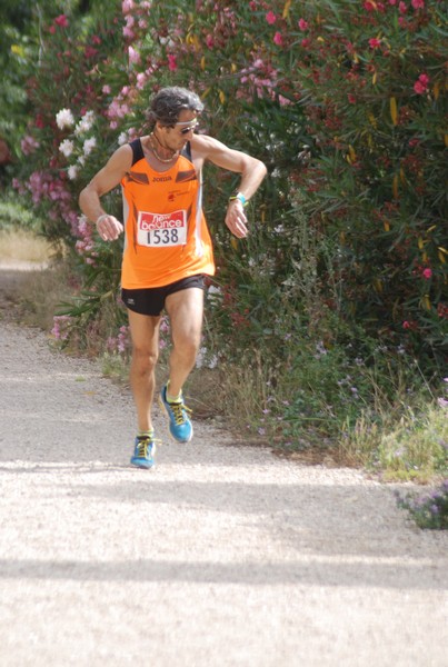 Solstizio d'estate ( C.E.)  (14/06/2015) 00026