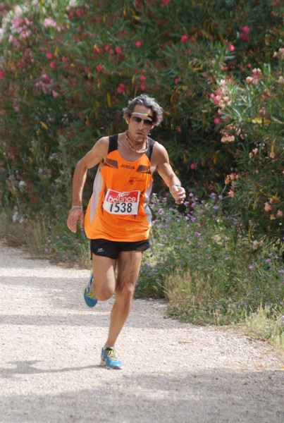 Solstizio d'estate ( C.E.)  (14/06/2015) 00029