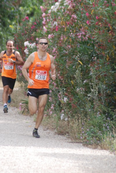 Solstizio d'estate ( C.E.)  (14/06/2015) 00036
