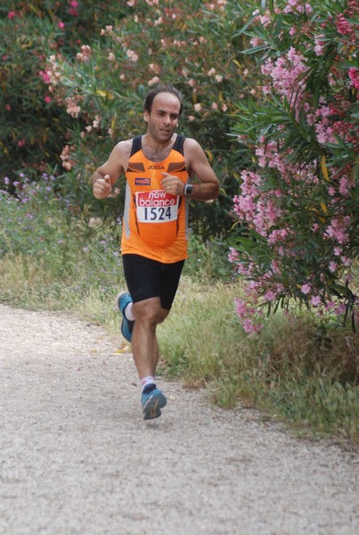 Solstizio d'estate ( C.E.)  (14/06/2015) 00043