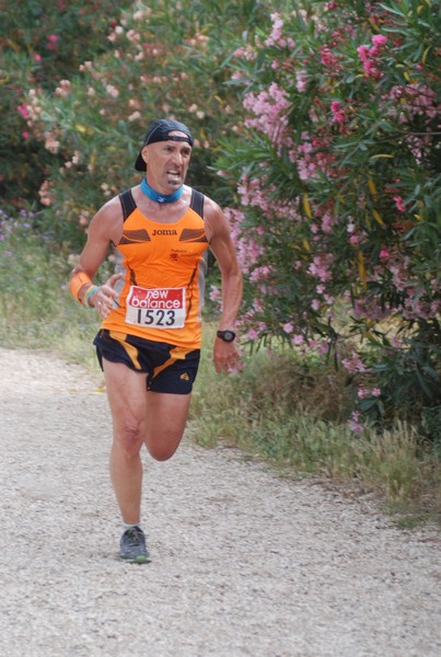 Solstizio d'estate ( C.E.)  (14/06/2015) 00045