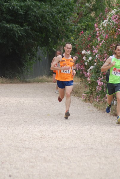 Solstizio d'estate ( C.E.)  (14/06/2015) 00056