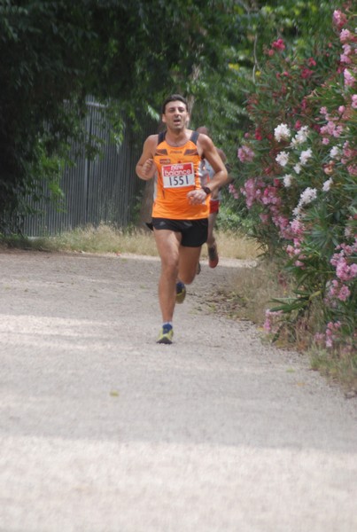 Solstizio d'estate ( C.E.)  (14/06/2015) 00062