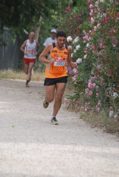 Solstizio d'estate ( C.E.)  (14/06/2015) 00064