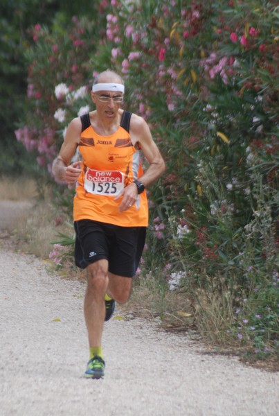 Solstizio d'estate ( C.E.)  (14/06/2015) 00077
