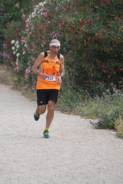 Solstizio d'estate ( C.E.)  (14/06/2015) 00079