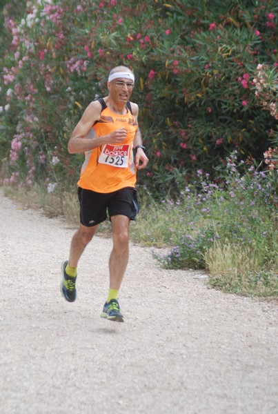 Solstizio d'estate ( C.E.)  (14/06/2015) 00080