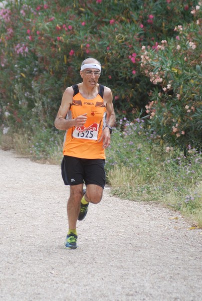 Solstizio d'estate ( C.E.)  (14/06/2015) 00081