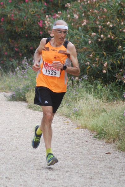 Solstizio d'estate ( C.E.)  (14/06/2015) 00082