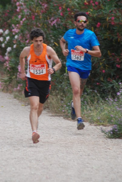 Solstizio d'estate ( C.E.)  (14/06/2015) 00084