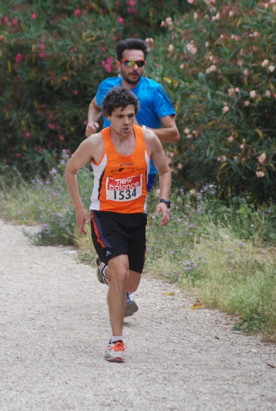 Solstizio d'estate ( C.E.)  (14/06/2015) 00086