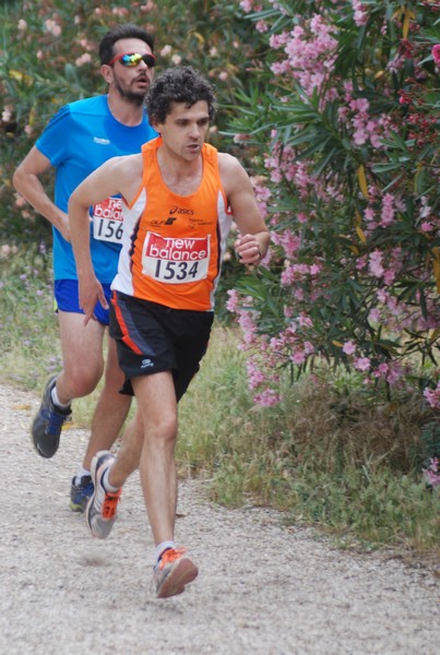 Solstizio d'estate ( C.E.)  (14/06/2015) 00087