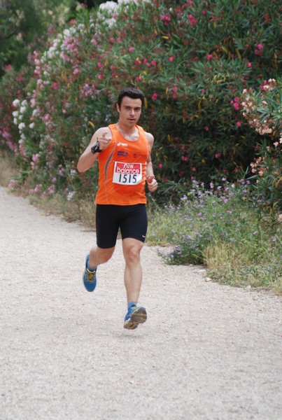 Solstizio d'estate ( C.E.)  (14/06/2015) 00103