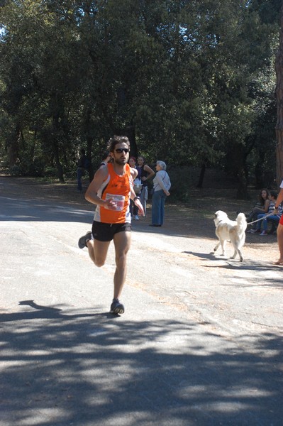 Rincorriamo la pace con 