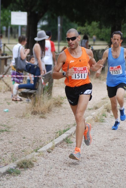 Solstizio d'estate ( C.E.)  (14/06/2015) 00008