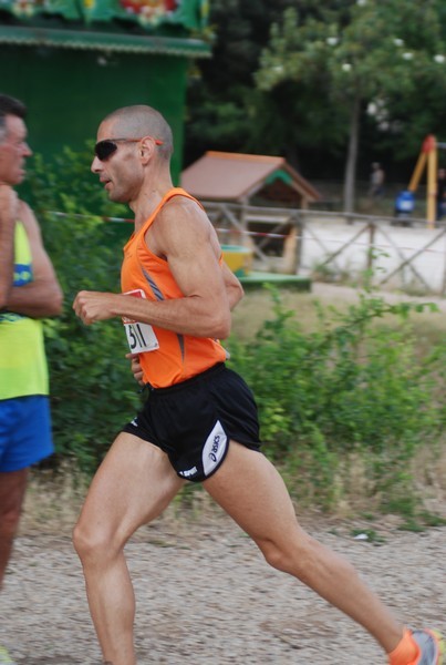 Solstizio d'estate ( C.E.)  (14/06/2015) 00011