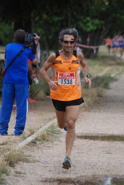 Solstizio d'estate ( C.E.)  (14/06/2015) 00014