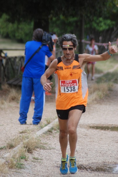 Solstizio d'estate ( C.E.)  (14/06/2015) 00015