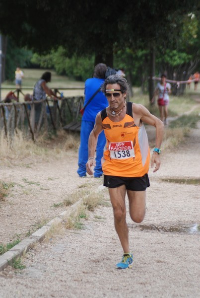 Solstizio d'estate ( C.E.)  (14/06/2015) 00016