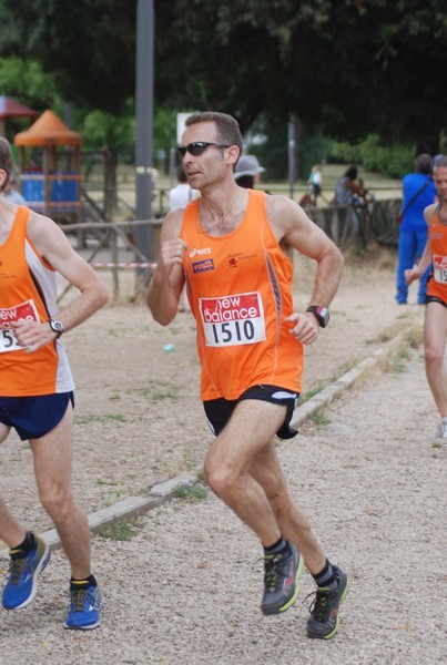 Solstizio d'estate ( C.E.)  (14/06/2015) 00027