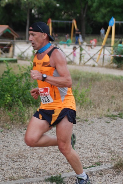 Solstizio d'estate ( C.E.)  (14/06/2015) 00029