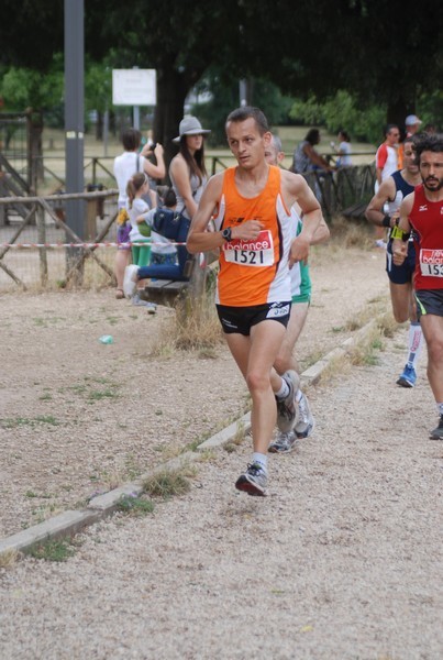 Solstizio d'estate ( C.E.)  (14/06/2015) 00030