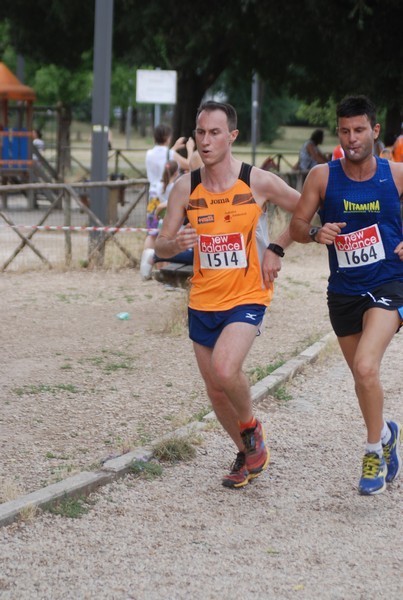 Solstizio d'estate ( C.E.)  (14/06/2015) 00034