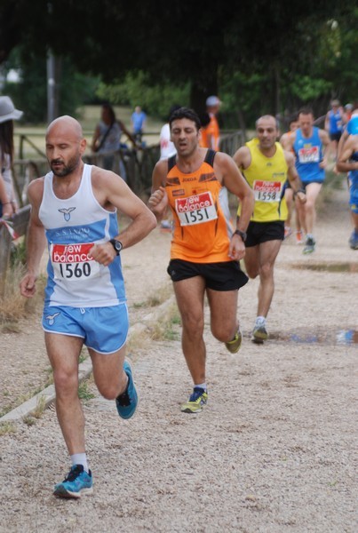 Solstizio d'estate ( C.E.)  (14/06/2015) 00036