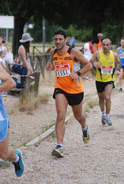 Solstizio d'estate ( C.E.)  (14/06/2015) 00037