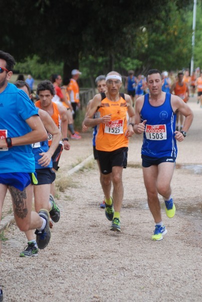 Solstizio d'estate ( C.E.)  (14/06/2015) 00039