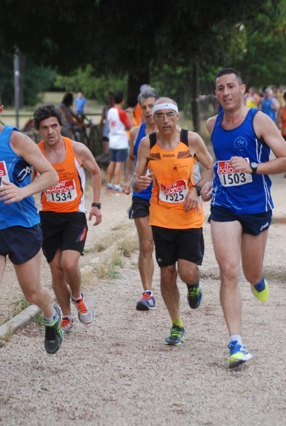 Solstizio d'estate ( C.E.)  (14/06/2015) 00040
